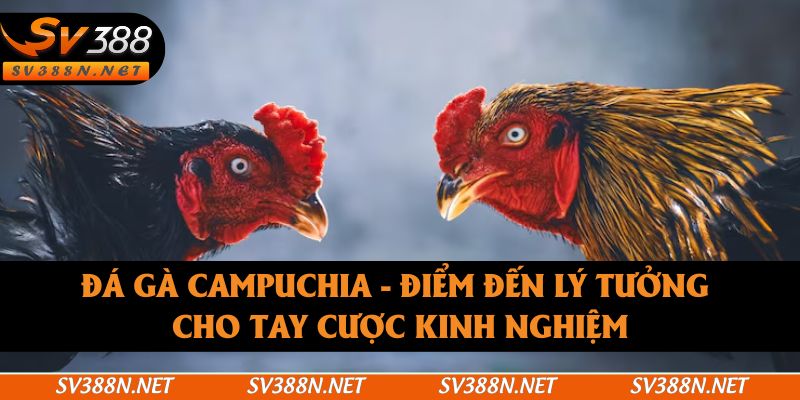 Đá Gà Campuchia