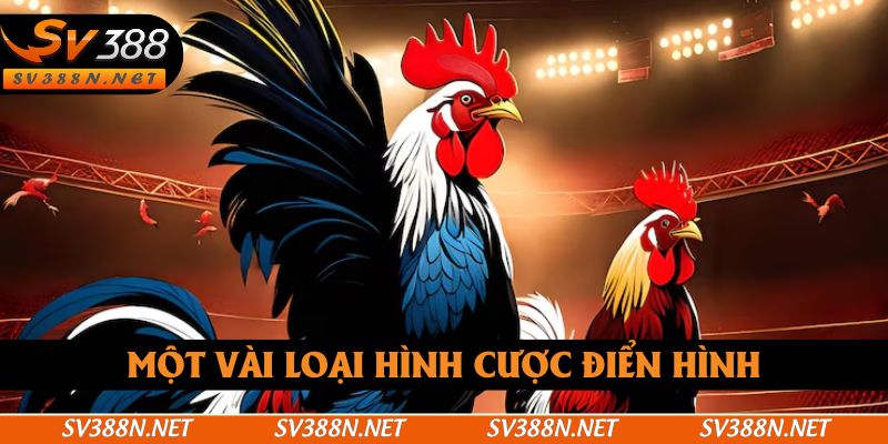 Một vài loại hình cược điển hình