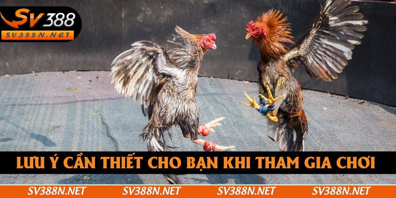 Lưu ý cần thiết cho bạn khi tham gia chơi 