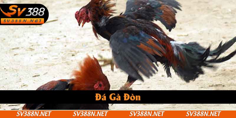 Đá Gà Đòn SV388