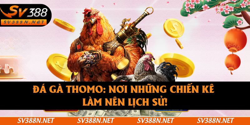 Đá Gà Thomo
