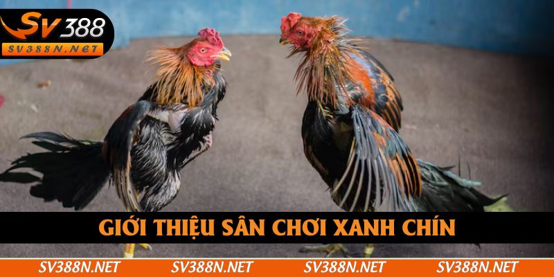 Giới thiệu sân chơi xanh chín