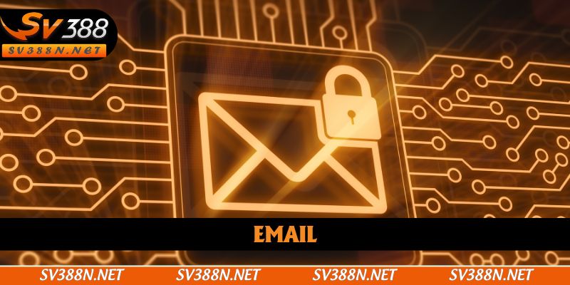 Email là kênh phản hồi siêu chi tiết, được yêu thích năm 2025