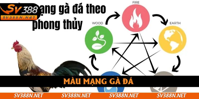 Màu Mạng Gà Đá SV388