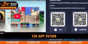 Tải App SV388
