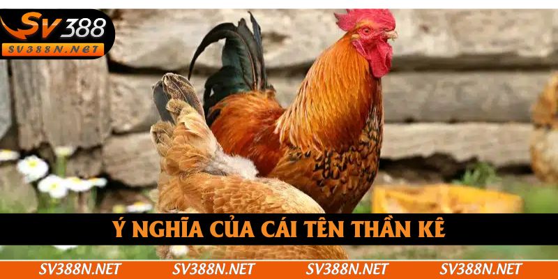Ý nghĩa của cái tên thần kê