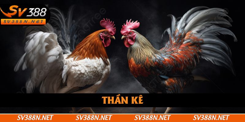 Thần Kê